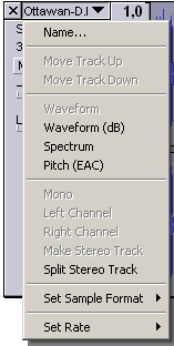 Меню Дорожки (Track menu) для стерео трека в программе Audacity